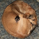 image0099