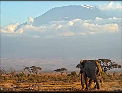 afrika