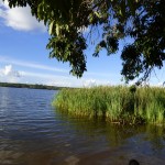 Vista a la laguna Guapomó